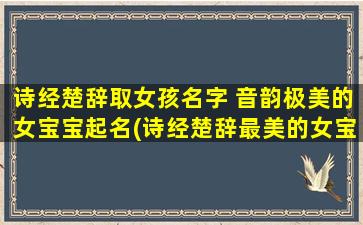 诗经楚辞取女孩名字 音韵极美的女宝宝起名(诗经楚辞最美的女宝宝名字推荐，完美融合音韵与文化的百名精选！)